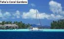 Coral Gardens snorkeling area